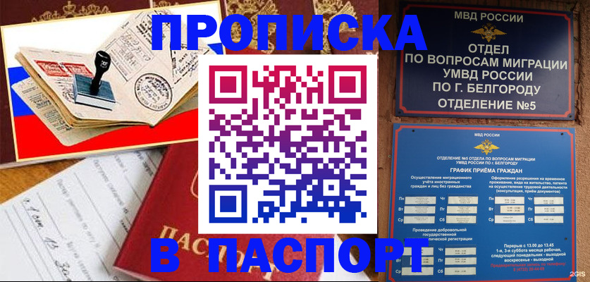 купить прописку в Можайске